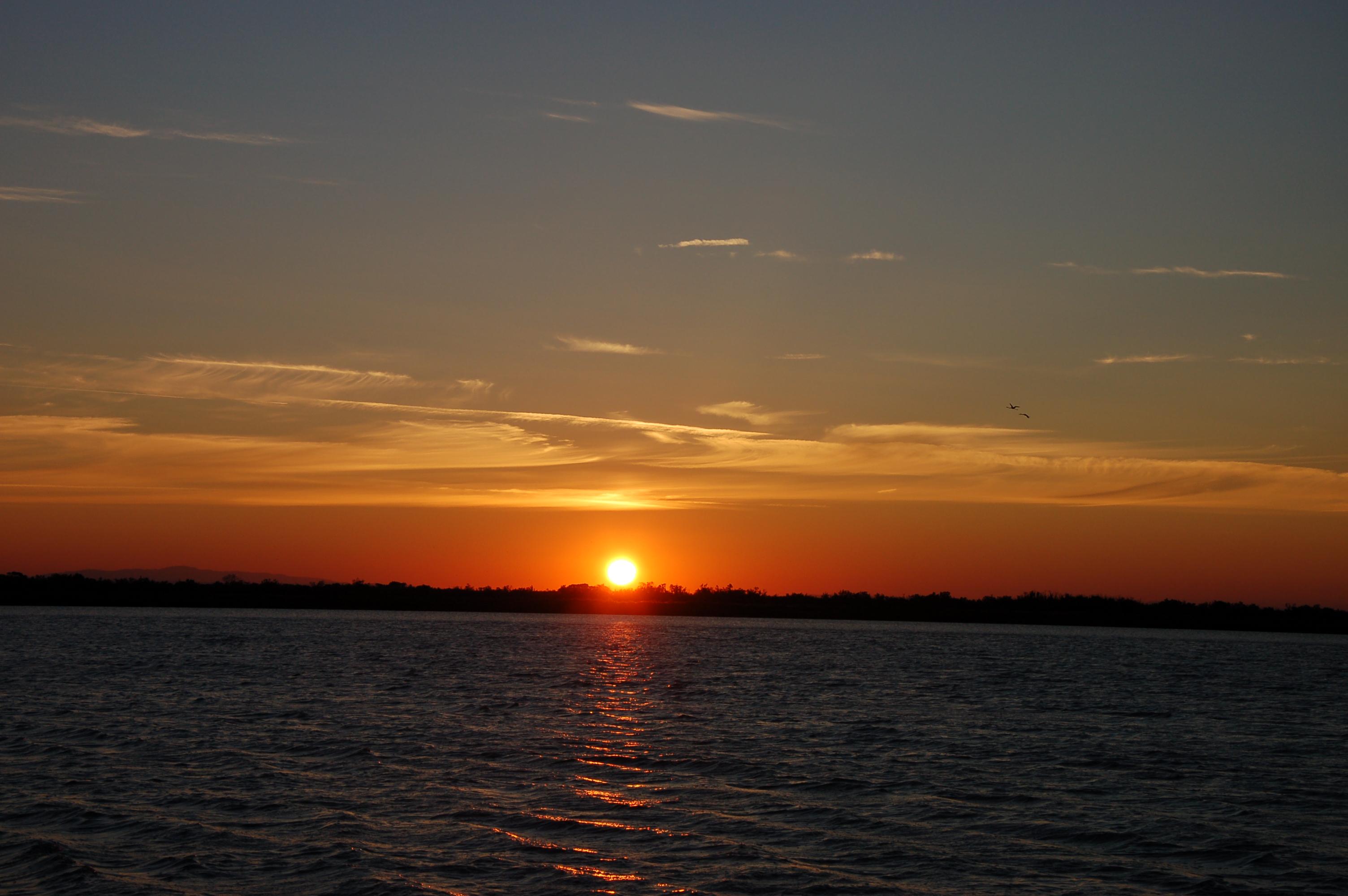 1008040645MCAbag2010 (14).JPG